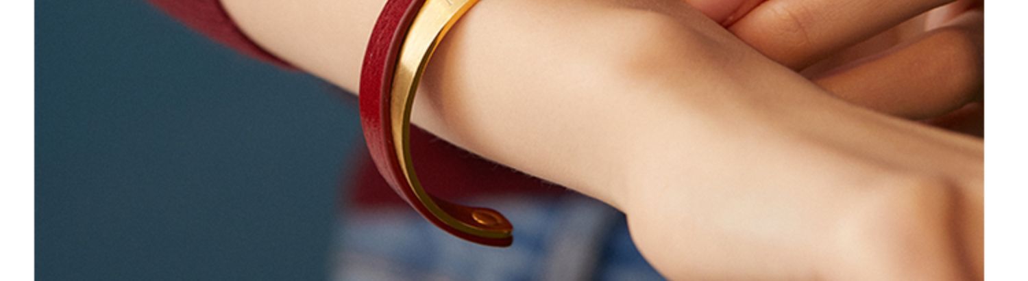 Titanium Steel Leather Bracelet Couple Bracelet Women's Niche Design Men's Accessories Light Luxury Style